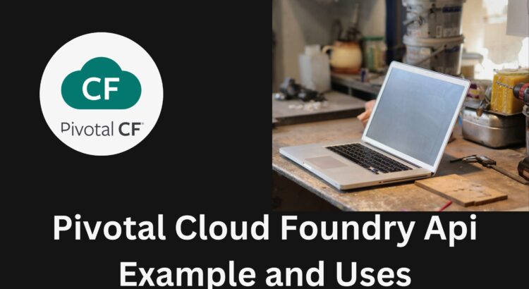 Pivotal Cloud Foundry Api Example and Uses