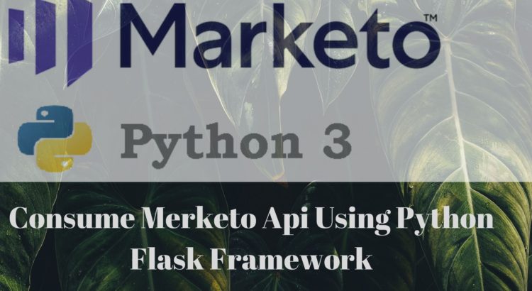 marketo-api-example-python3