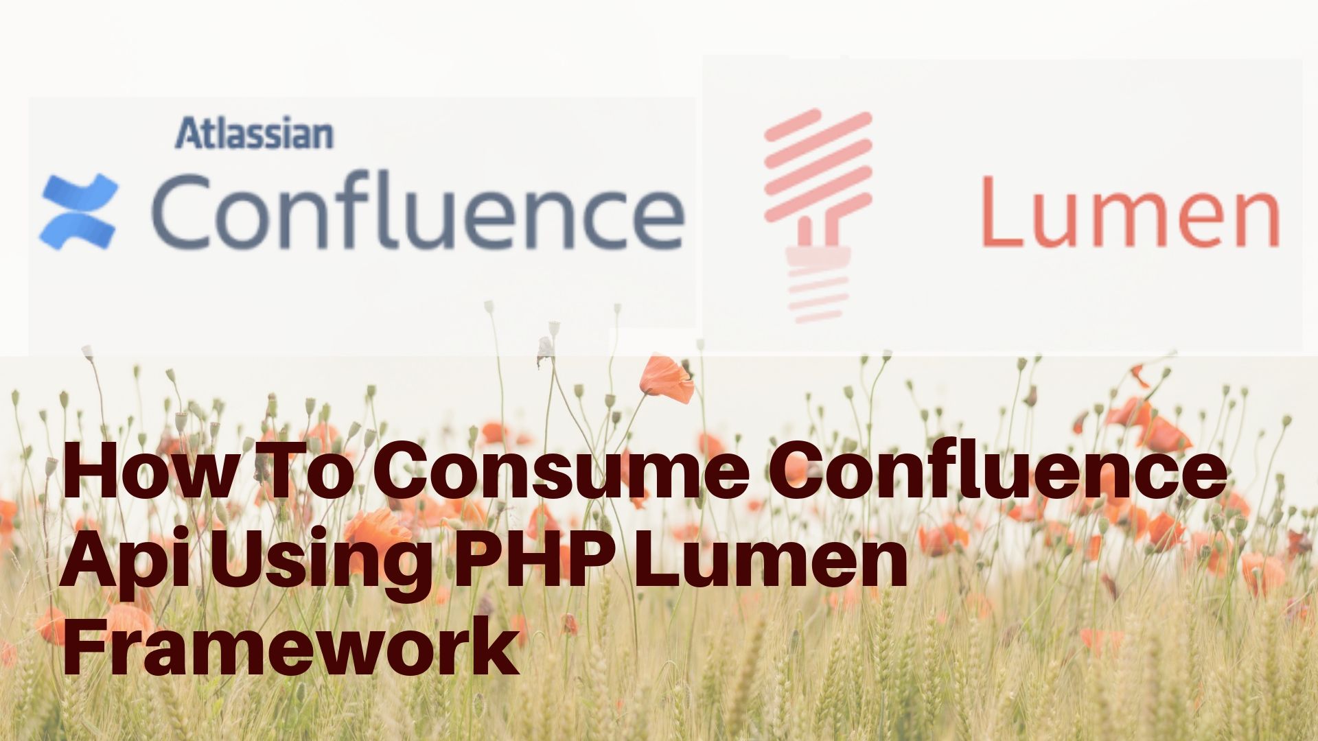 confluence-rest-api-example-php