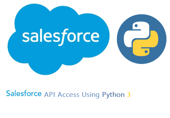 sales-force-api access